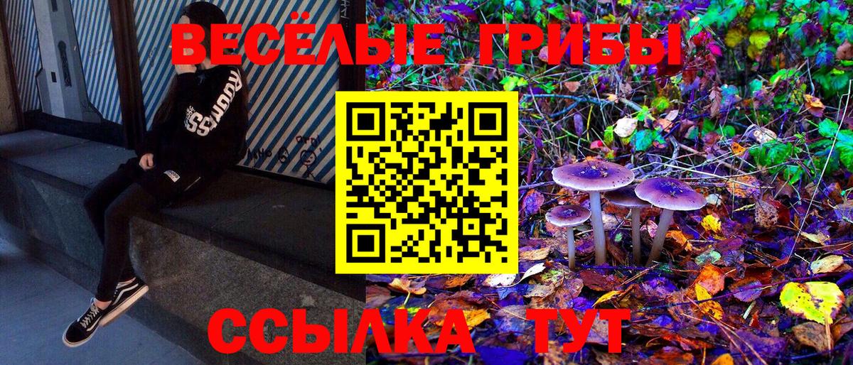 Псилоцибиновые грибы GOLDEN TEACHER Комсомольск-на-Амуре