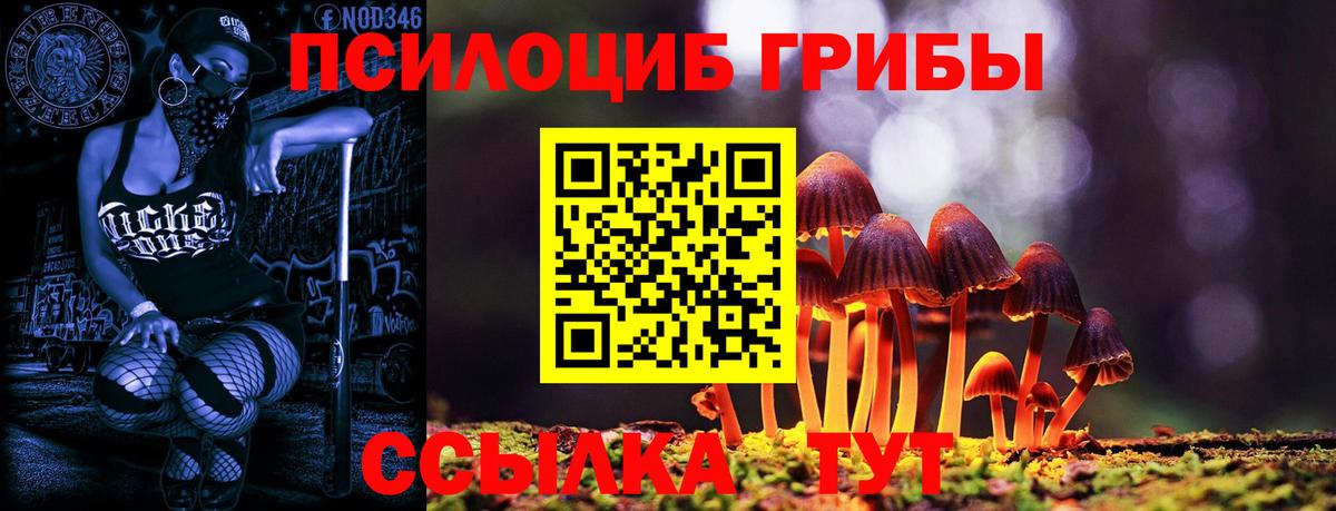 Галлюциногенные грибы мицелий  Псилоцибиновые грибы MAGIC MUSHROOMS  Вход с VPN  Комсомольск-на-Амуре 
